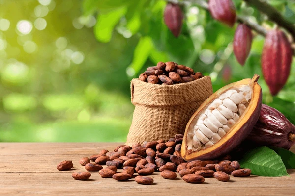 Cocoa Pod
